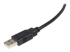 USB2HAB10 - StarTech.com 3 m Certifierad USB 2.0 A- till B-kabel - Närbild
